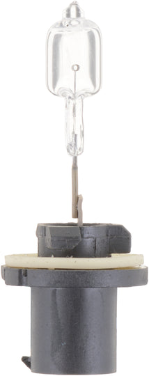 885B1 Philips Standard Fog Light 885 - Standard - Single Blister Pack Philips Bulbs