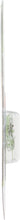 Load image into Gallery viewer, 12505LLB2 Philips LongerLife Miniature 12505LL - LongerLife - Twin Blister Pack Philips Bulbs