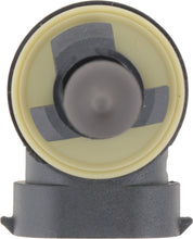 Load image into Gallery viewer, 896B1 Philips Standard Fog Light 896 - Standard - Single Blister Pack Philips Bulbs