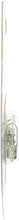 Load image into Gallery viewer, 74LLB2 Philips LongerLife Miniature 74LL - LongerLife - Twin Blister Pack Philips Bulbs