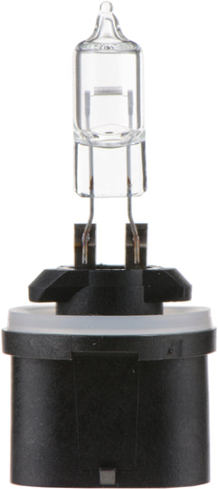 890B1 Philips Standard Fog Light 890 - Standard - Single Blister Pack Philips Bulbs