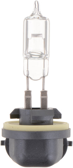 894B1 Philips Standard Fog Light 894 - Standard - Single Blister Pack Philips Bulbs