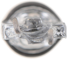 Charger l'image dans la galerie, 2040LLCP Philips LongerLife Miniature 2040LL - LongerLife - Multiple Commercial 10-Pack Philips Bulbs