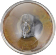 Load image into Gallery viewer, 12821CP Philips Standard Minature 12821 - Standard - Multiple Commercial 10-Pack Philips Bulbs
