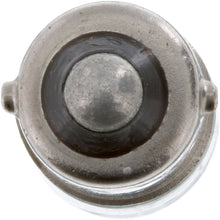 Load image into Gallery viewer, 1816CP Philips Standard Miniature 1816 - Standard - Multiple Commercial 10-Pack Philips Bulbs