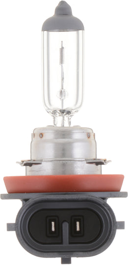 H11VPB1 Philips VisionPlus Headlight H11 - VisionPlus - Single Blister Pack Philips Bulbs