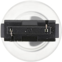 Load image into Gallery viewer, 3156CP Philips Standard Miniature 3156 - Standard - Multiple Commercial 10-Pack Philips Bulbs