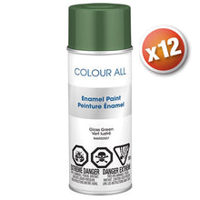 Load image into Gallery viewer, B46052507Q12 Colour All Acrylic Enamel Gloss Green Spray Paint 12 Units Per Case Atlas Auto Accessories