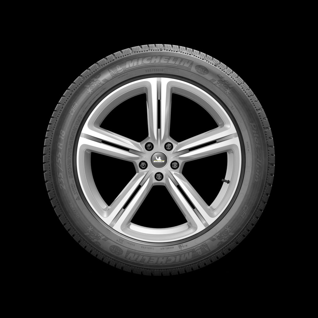 99967 255/40R20XL Michelin Pilot Alpin PA4 101V Michelin Tires Canada